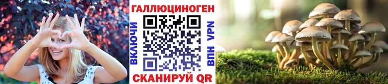 как найти закладки  Мензелинск  Галлюциногенные грибы Psilocybine cubensis 